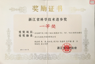 浙江省科學(xué)技術(shù)進(jìn)步獎(jiǎng)一等獎(jiǎng)-抗電磁干擾猛鋅TS系列